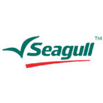 seagull